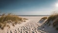 sand dunes on the beach sandy beach path with footprints and with grass and sand dunes Royalty Free Stock Photo