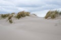 Sand dunes with beachgrass Royalty Free Stock Photo
