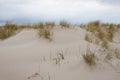 Sand dunes with beachgrass Royalty Free Stock Photo