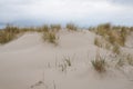 Sand dunes with beachgrass