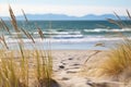 sand dunes with beachgrass and the sea in the background Royalty Free Stock Photo