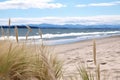 sand dunes with beachgrass and the sea in the background Royalty Free Stock Photo