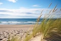 sand dunes with beachgrass and the sea in the background Royalty Free Stock Photo