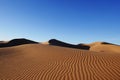 sand dunes and blue sky, the sahara desert photo by steve harligan Royalty Free Stock Photo