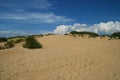 Sand dunes with bushes against a blue sky with clouds Royalty Free Stock Photo
