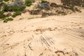 Sand dunes in Rocha, Uruguay