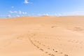 Sand dunes in Cabo Polonio, Uruguay Royalty Free Stock Photo