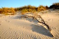 Sand dunes on the coast of the Baltic Sea, Kolobrzeg, Poland