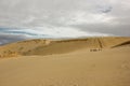 Tourists walking in a line in sand dunes of cape Reinga