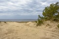 Sand dunes on the coast of the Gulf of Finland in the Leningrad region near the city of Sosnovy Bor Royalty Free Stock Photo