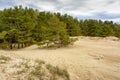 Sand dunes on the coast of the Gulf of Finland in the Leningrad region near the city of Sosnovy Bor Royalty Free Stock Photo