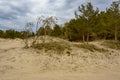 Sand dunes on the coast of the Gulf of Finland in the Leningrad region near the city of Sosnovy Bor Royalty Free Stock Photo