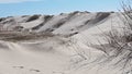 Sand dunes on the coast of the Gulf of Riga in the middle of spring Royalty Free Stock Photo