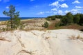 Sand dunes covered with dry grass and trees and beach of Baltic Sea central shore near town of Rowy in Poland Royalty Free Stock Photo