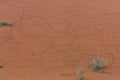 Sand dunes cracking creating patterns and ripples and textures on the hill after a storm in the United Arab Emirates