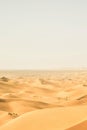 Sand dunes in the desert Royalty Free Stock Photo