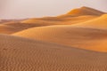 Sand dunes in the desert of Oman