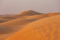 Sand dunes in the desert of Oman