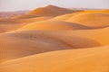 Sand dunes in the desert of Oman