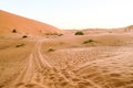 sand dunes in desert, photo as background