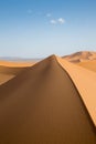 Sand dunes in the desert