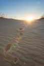 Sand dunes of the desert at sunset, scenic landscape, Oleshky Sands, Kherson oblast, Ukraine, outdoor travel background Royalty Free Stock Photo