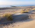 Sand dunes and deserted beach on the dutch coast of north sea in province of zeeland Royalty Free Stock Photo