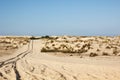 Sand dunes in Donana National Park, Matalascanas,Spain Royalty Free Stock Photo