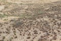 Sand dunes and dry grass close up, natural texture, background Royalty Free Stock Photo