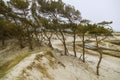 Sand dunes Dueodde beach Bornholm beautiful Denmark's island - wild nature