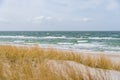 Sand dunes with dune grass and the ocean in the background Royalty Free Stock Photo