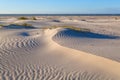 Sand dunes on Dutch sea coast