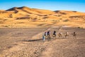 Sand dunes Erg Chebbi with camels near Merzouga in Morocco Royalty Free Stock Photo