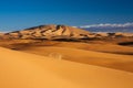 Sand Dunes of Erg Chebbi int he Sahara Desert, Morocco Royalty Free Stock Photo