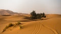 Sand dunes in Erg Chebbi at morning, Sahara desert, Morocco