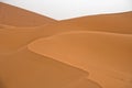 Sand dunes in Erg Chebbi before sunrise, Sahara desert, Morocco Royalty Free Stock Photo