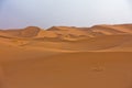 Sand dunes in Erg Chebbi at sunrise, Sahara desert, Morocco Royalty Free Stock Photo