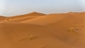 Sand dunes in Erg Chebbi at sunrise, Sahara desert, Morocco Royalty Free Stock Photo