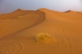 Sand dunes in Erg Chebbi at sunrise, Sahara desert, Morocco