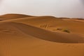 Sand dunes in Erg Chebbi at sunrise, Sahara desert, Morocco