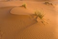 Sand dunes in Erg Chebbi at sunrise, Sahara desert, Morocco Royalty Free Stock Photo