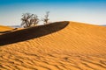 Sand dunes in Erg Chigaga, MHamid, Morocco Royalty Free Stock Photo