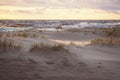 Sand dunes in evening sunlight