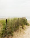 Sand dunes with fence and grasses in the Rockaways, Queens, New York City Royalty Free Stock Photo