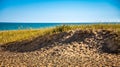 Sand Dunes on Lake Superior shore Northern Michigan Royalty Free Stock Photo