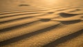 Sand dunes with gently undulating ripples are bathed in warm Royalty Free Stock Photo