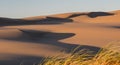 Sand dunes Royalty Free Stock Photo