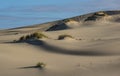 Sand dunes