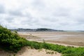 Sand dunes and grass in Instow, Devon, England Royalty Free Stock Photo