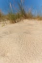 Sand dunes and grass over the Baltic Sea at sunny day. Royalty Free Stock Photo